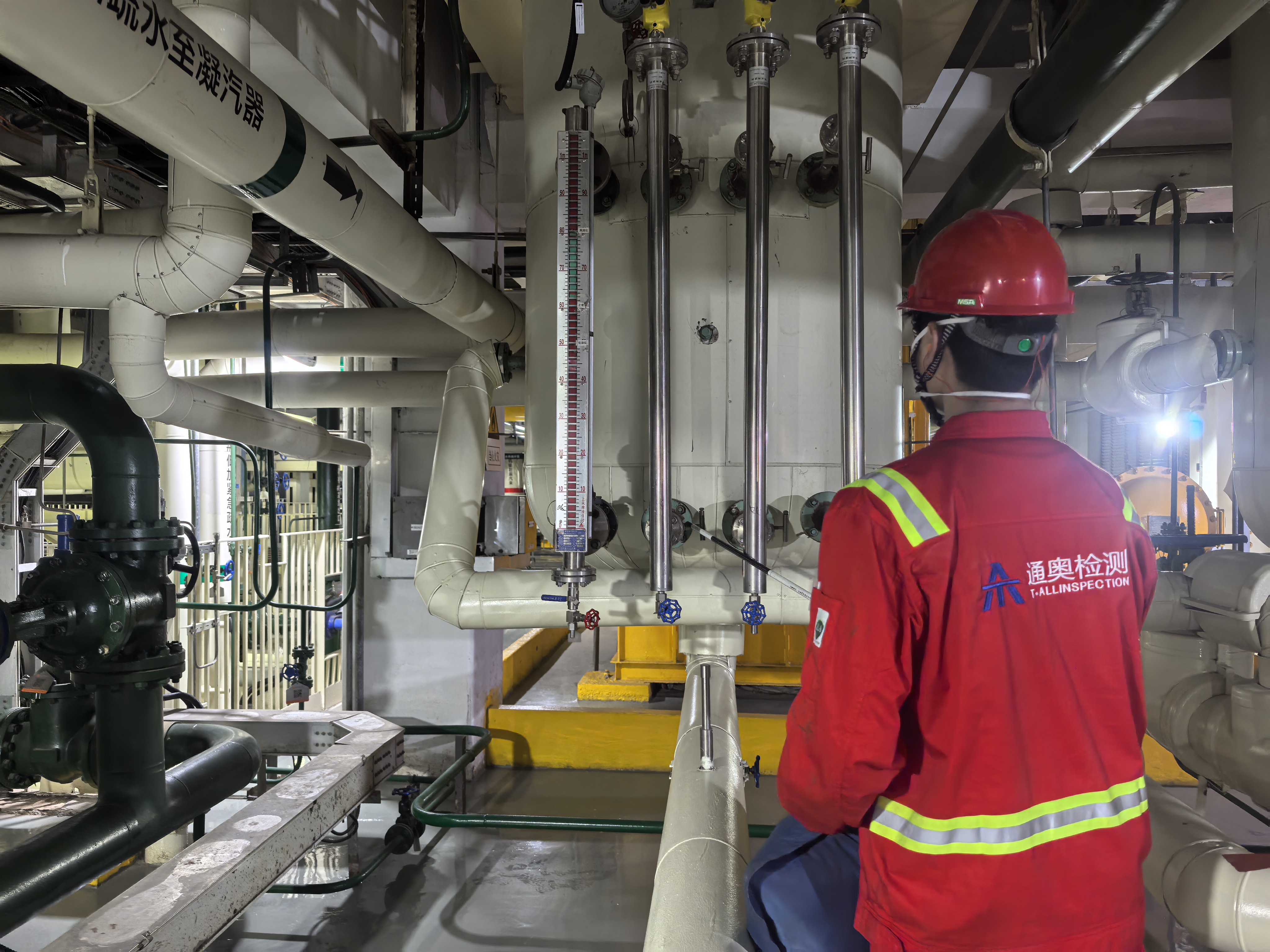 1767070621915852.jpg 2.jpg